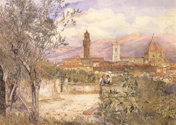 View of Florence,From the Gardens fo the Palazzo de'Mozzi (mk46), Henry Roderick Newman